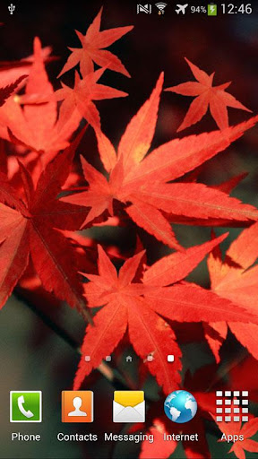 Autumn Live Wallpaper