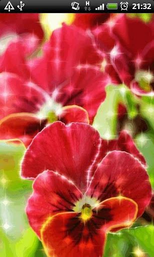 Spring Flowers Live Wallpaper