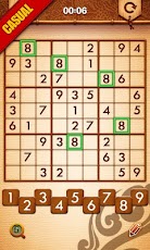  Sudoku Master