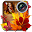 Autumn Photo Collage Editor Download on Windows