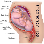 Pregnancy Tips in Hindi