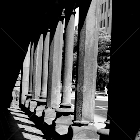Dark Shadows by Mady Sieracki - Buildings & Architecture Places of Worship