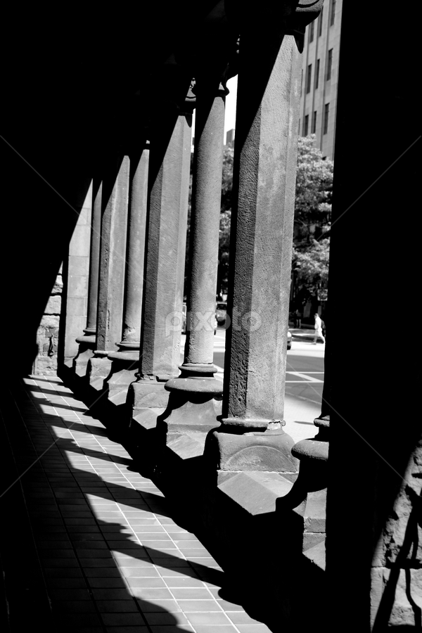 Dark Shadows by Mady Sieracki - Buildings & Architecture Places of Worship