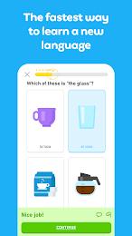 Duolingo: Language Lessons 2