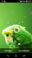 Parrot HD Wallpaper Live APK スクリーンショット画像 #3