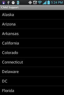 Child Support Calculator Screenshots 3