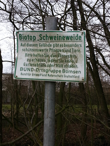 Biotop Schweineweide