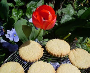 biscuits amandes tulipe