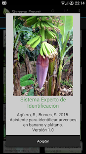 How to get Banana Weed Identification 1.0 unlimited apk for pc