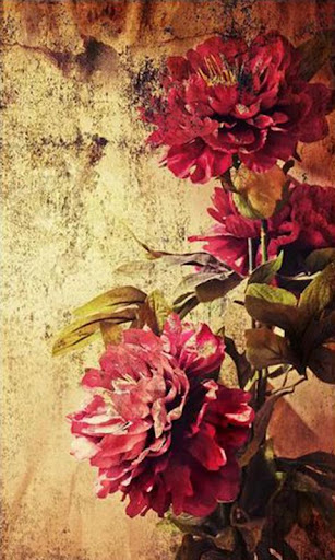 【免費攝影App】Vintage Roses Live Wallpaper-APP點子