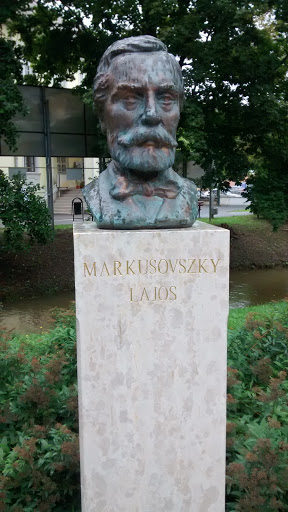 Markusovszky Mellszobor 