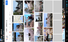 千葉県 法華経寺と桜(JP040)のおすすめ画像2