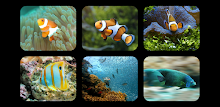 Fish Jigsaw Puzzles by Don Becker APK