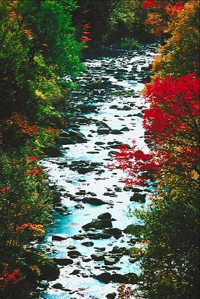 [river[3].jpg]