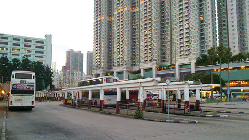 Kowloon City Ferry Bus Station