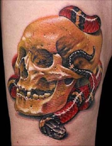 TATTO 3D AND CREATOR