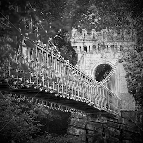 by Nedelcu Valeriu - Black & White Landscapes