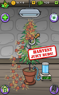   Pot Farm - Grass Roots- screenshot thumbnail   