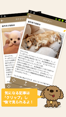 犬の写真ブログ動画を快適に読むPOCHIPOST ポチポストのおすすめ画像2