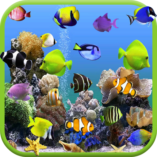 Aquarium Video Live Wallpaper LOGO-APP點子