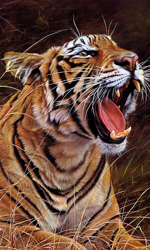 【免費個人化App】Tiger Jungle live wallpaper-APP點子