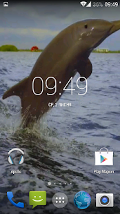 Dolphin 3d. Video Wallpaper(圖3)-速報App