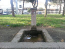 Fontana Piazza Comune