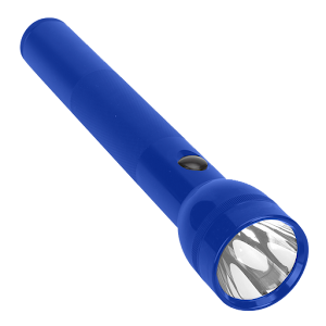 Secure Flashlight Blue