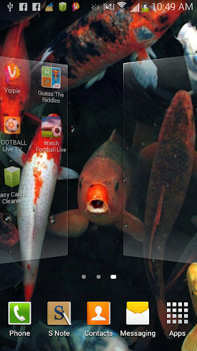 免費下載個人化APP|錦鯉動態壁紙 app開箱文|APP開箱王
