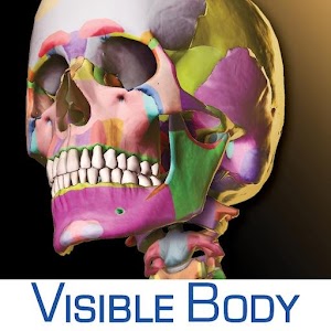 Skeleton Premium logo