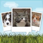 Cover Image of Download My Talking Pet 1.2.17-p APK