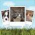 My Talking Pet2.0.9