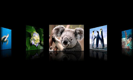 CoverFlow Pro (no ad) poster 1