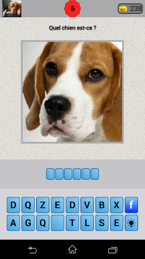 【免費益智App】Quizz Race de chien-APP點子