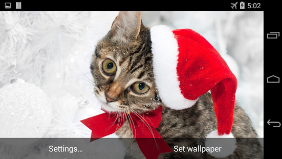 Christmas Cat Live Wallpaper Screenshots 0