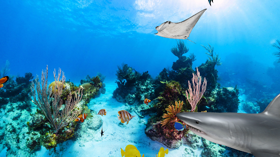 Trial Aquarium 360 LWP(圖5)-速報App