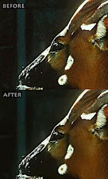 Fix Photo Noise poster 7