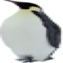Penguin Tracker logo