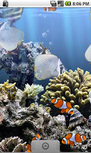 真正的水族館 -  LWP(圖2)-速報App