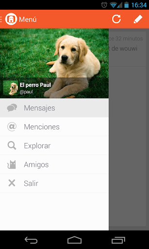 Wouwi. Red social de mascotas