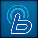 Hyundai Blue Link (old) icon