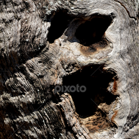 Scream by Adrian Boom - Abstract Patterns