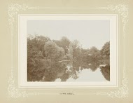 Gezicht op bomen langs de Witte Singel, Leiden