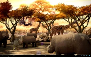 Africa 3d Free Live Wallpaper Apps On Google Play