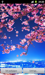 【免費個人化App】Sakura Live Wallpaper-APP點子