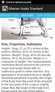 Download Siberian Husky Reference APK