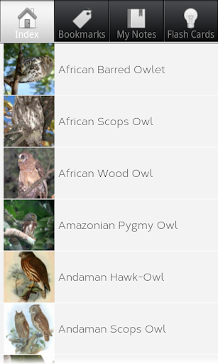 【免費書籍App】Owl Species: Types of Owl-APP點子