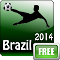 Brazil 2014 World Cup icon