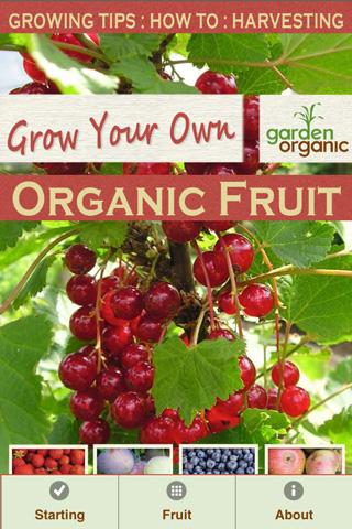 Growing Your Own Organic Fruit