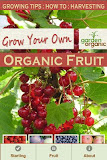 Growing Your Own Organic Fruit